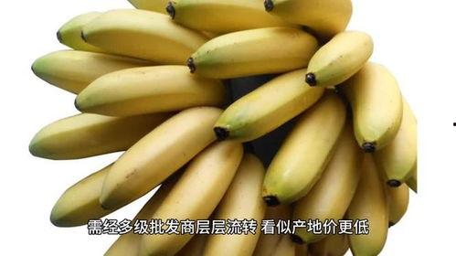 大香蕉之国产